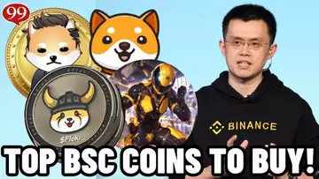 TOP BSC COINS TO BUY (10X TO 100X POTENTIAL) BINANCE SMART CHAIN IS MAKING A COMEBACK!!