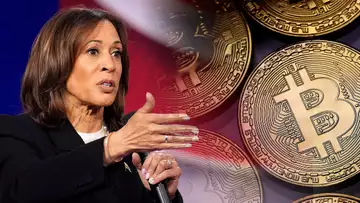 Harris Has Forward Looking Crypto Approach: Rep. Nickel