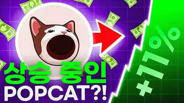 고양이 밈코인 POPCAT의 상승세!?