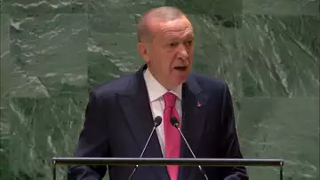 Turkey's Erdogan Says Israel Is Committing Genocide in Gaza