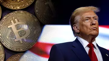 Bitcoin Price Moves Due to Trump Trade, Global Liquidity: Goodman