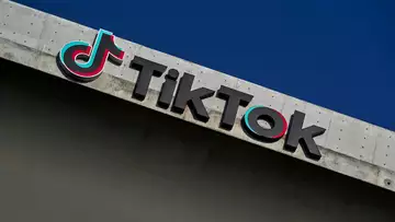 TikTok's Growing Advertising Base