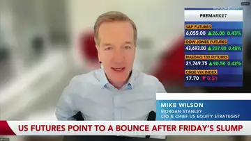 Morgan Stanley's Mike Wilson says DOGE Could wind up being net positive