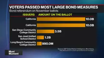 Voters Back $52 Billion of State and Local Borrowing