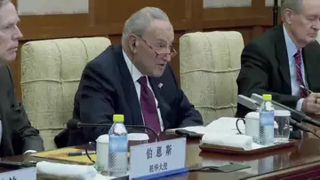 Senator Schumer Confronts China on Israel-Hamas Statement