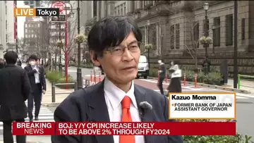 BOJ Won't Rush Into Further Rate Hikes, Former Official Momma Says