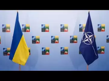 US NATO Ambassador on Aid for Ukraine, Ending the War