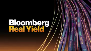 Bloomberg Real Yield 11/03/23