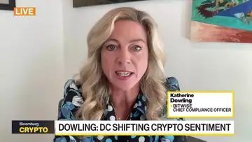 Crypto Will Factor In 2024 Election: Bitwise's Dowling