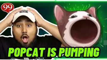 Popcat meme coin is pumping! (BUY NOW?!) Top Crypto Meme Coin Gainer!!!