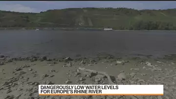 Europe's Rhine River Running Dangerously Low on Water