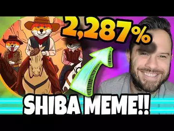 This Shiba Inu Coin Meme Is Offering Insane Rewards! Do Not Miss Shiba Shootout!