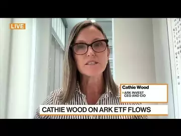 Cathie Wood Says ARK Funds Are Seeing Flows Coming Back