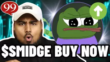 SMIDGE MEME COIN IS THE NEXT PEPE COIN?! Should You Buy $SMIDGE?!