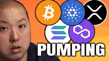 SEC LOSES XRP CASE | BITCOIN, SOLANA, CARDANO, POLYGON PUMPS!