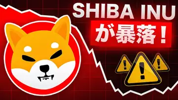 SHIBA INUに異変が！？買いか売りか？あなたならどっち！？