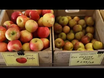 Why Honeycrisp Apples Taste So Good, But Are Hard to Grow