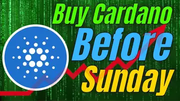 Should You Buy Cardano Right Before Smart Contracts?!