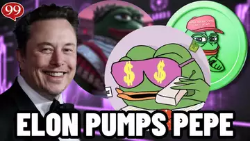 ELON MUSK IS TILL PUMPING PEPE!! THIS PEPE MEME COIN CAN 50X!! $WEPE COIN!