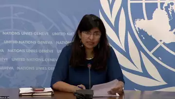 UN Calls for Investigation Into Iranian Woman's Death