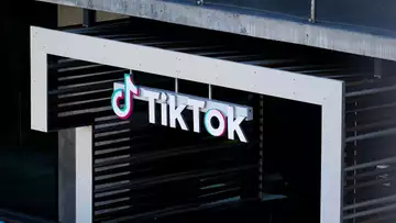 A Social Media Landscape without TikTok