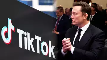 How the TikTok Ruling Impacts Elon Musk