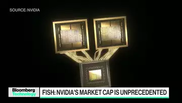 Nvidia's Market Capital is Unprecedented: Janus Henderson's Fish
