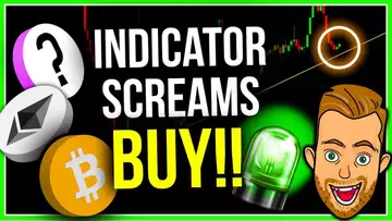 THIS CRYPTO INDICATOR SAYS IT'S TIME TO BUY.