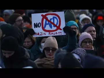 Germans Protest Throughout Nation Against Far-Right Extremism