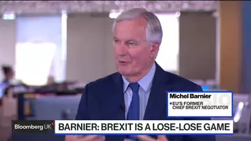 Brexit Is a Lose-Lose Game, No Winner: Michel Barnier