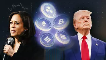 Crypto Is Unstoppable Whoever Is President: Demirors