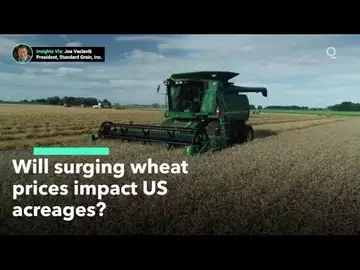 How Will US Farmers Respond to Rising Wheat Prices?