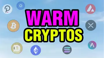 From Finance to Feelings: Warm Crypto Tokens Are Changing the Game!