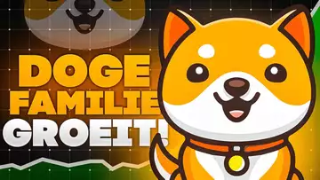 Dogecoin Stijgt 🌟 Tijd voor Baby Doge? Zo Doe Je Dat!