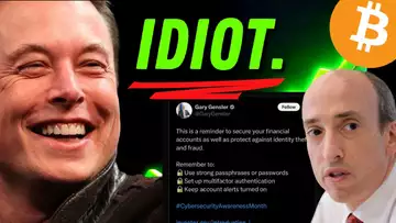 Elon Musk and X just RESPONDED to the SEC 'Compromise' - Unbelievable