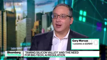 NYU's Gary Marcus on the Need for Tech, AI Regulation