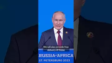 Russia’s Putin promises free grain to African Allies #bloomberg #russia #shorts