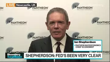 US Economy Doesn't Need Recession: Shepherdson