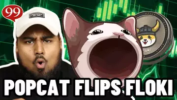 POPCAT ON SOL WILL FLIP FLOKI INU!? BUY POPCAT NOW!?