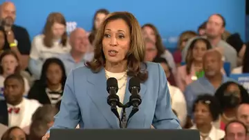 Harris Vows to Build an 'Opportunity Economy'