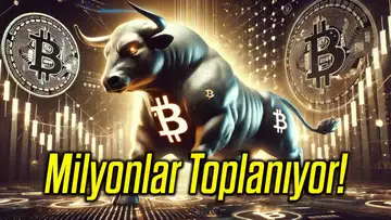 BTCBull Kripto Piyasasında Nasıl Bir Yer Edinebilir?