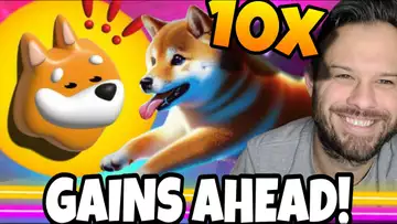 Bonk Eyes Impressive 28% Gain To Test Highs! Dogeverse Gearing Up To Replicate BONK!