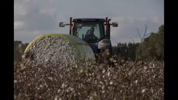America's Cotton Mills are slowly disappearing
