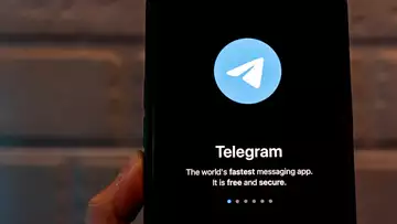 Telegram-Linked Token Plunges