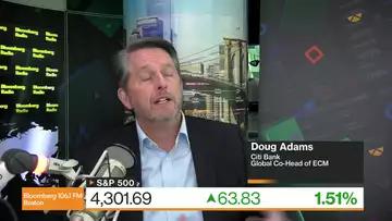 Citi's Doug Adams says He Expects a Bigger Pipeline for New IPOs in 2024