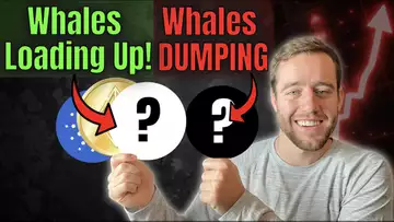 Whales Are DUMPING This And Loading Up On Solana, Cardano, Ethereum And THIS Crypto!