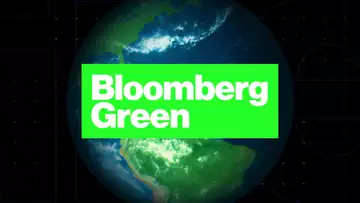 Bloomberg Green: Bringing Sustainable Food to the People