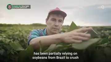 South America’s Soybean Farmers Face Major Challenge