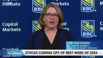 Smaller Fed Cut May Bring Small Cap Reversion, RBC’s Calvasina Says