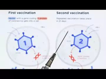 Vaccinations Provide a Movement Toward Normalcy: Johns Hopkins